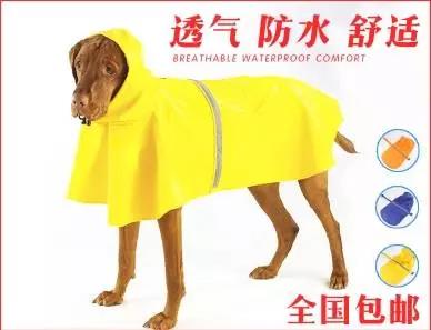 寵物衣服