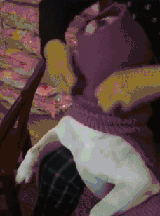 寵物衣服