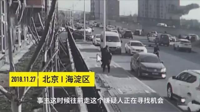 寵物牽引繩