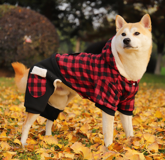 寵物衣服