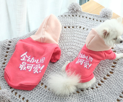 寵物衣服