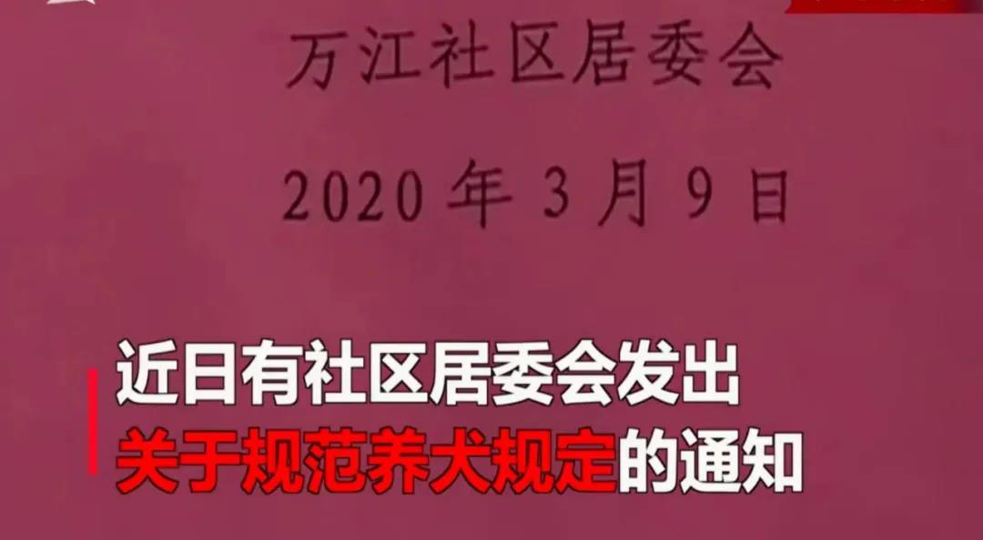 寵物牽引繩