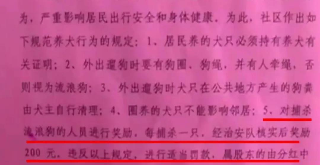 寵物牽引繩
