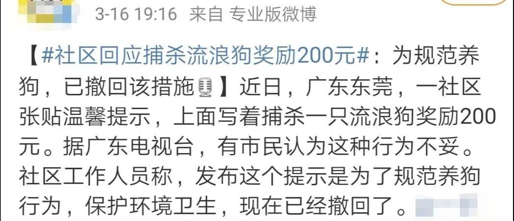 寵物牽引繩