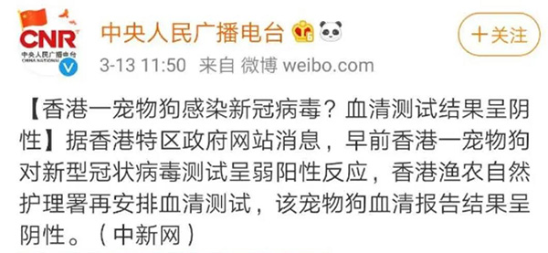 寵物牽引繩