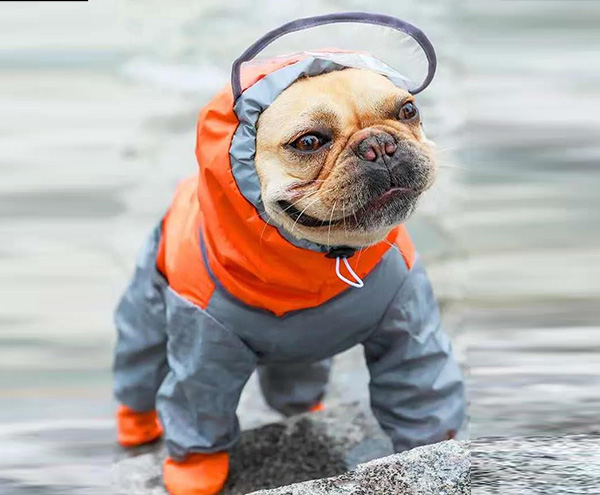 寵物雨衣