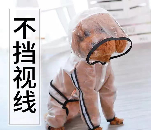 寵物雨衣