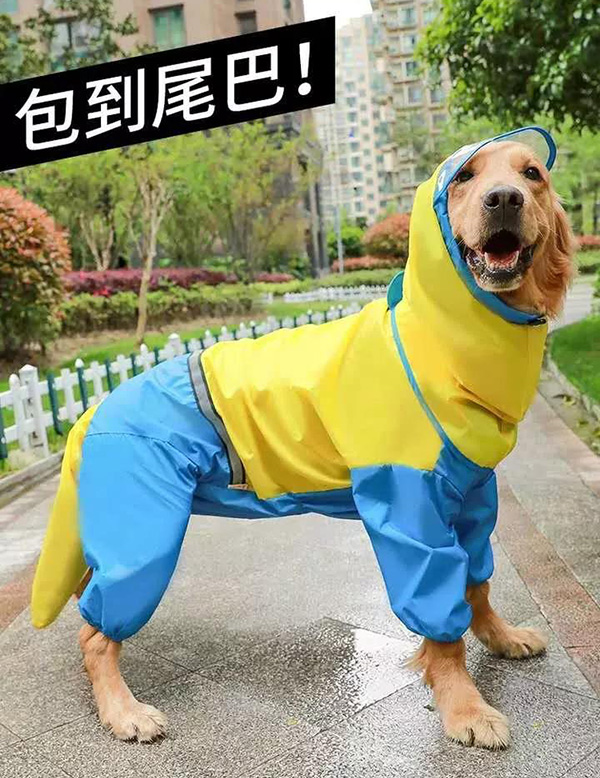 寵物雨衣