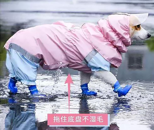 寵物雨衣