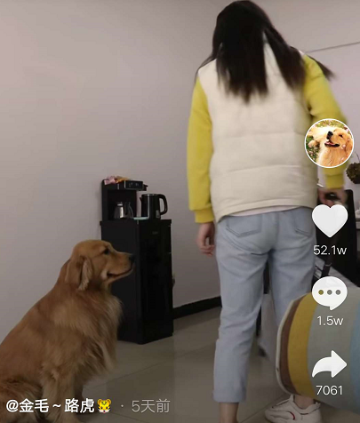 寵物用品