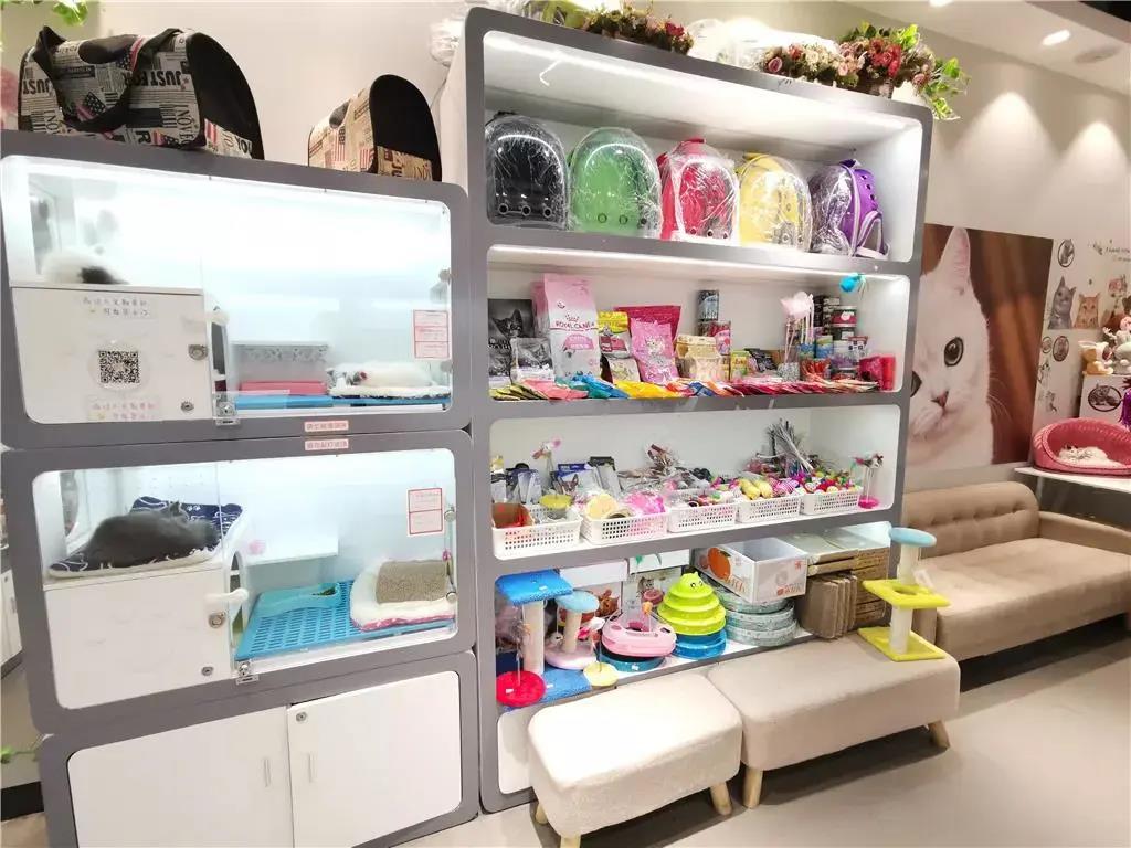 寵物用品